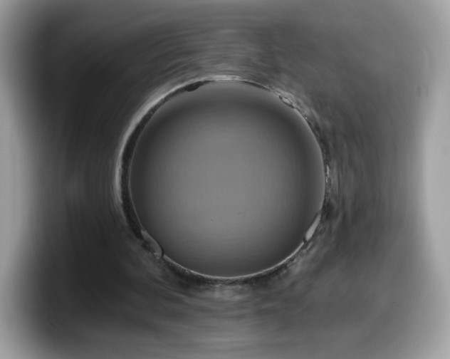 X0000099950292200805301241