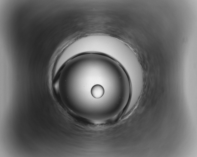 X0000099950293200805301241