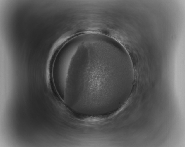 X0000099950294200805301241