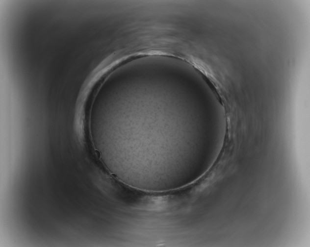 X0000099950295200805301241