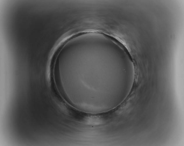 X0000099950296200805301241