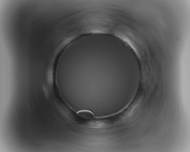 X0000099950299200805301241