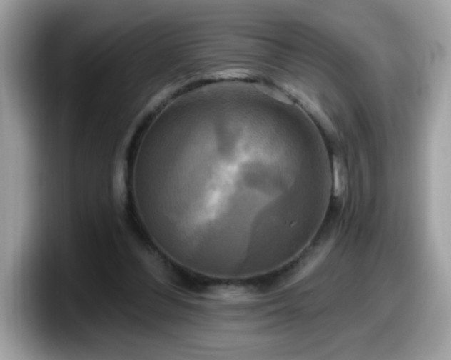X0000099950300200805301241