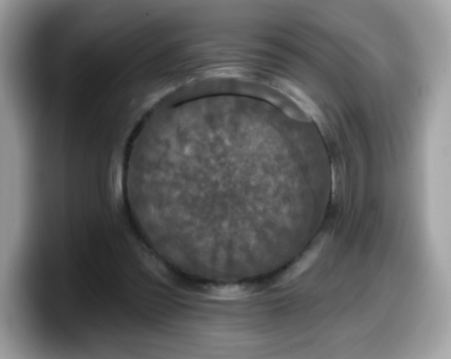 X0000099950301200805301241