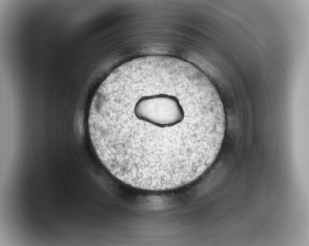 X0000099950302200805301241