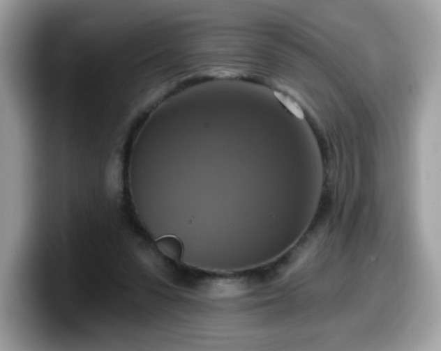 X0000099950303200805301241