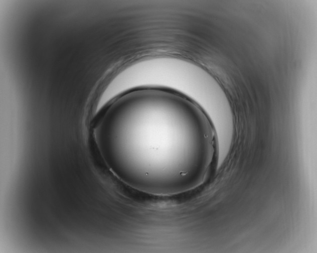 X0000099950304200805301241