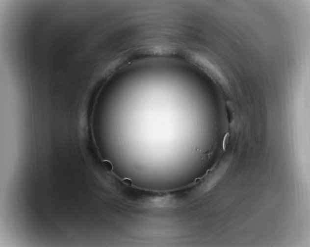 X0000099950306200805301241
