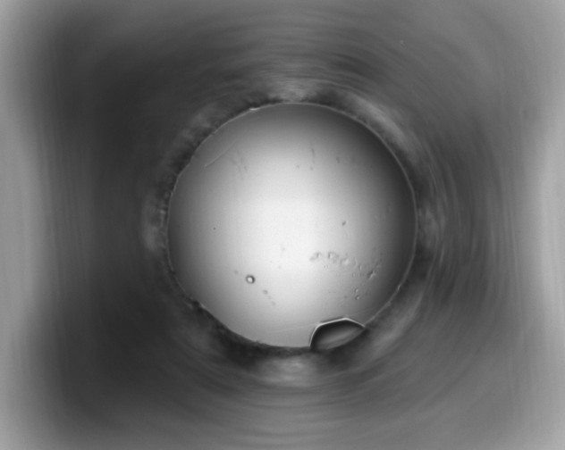 X0000099950307200805301241