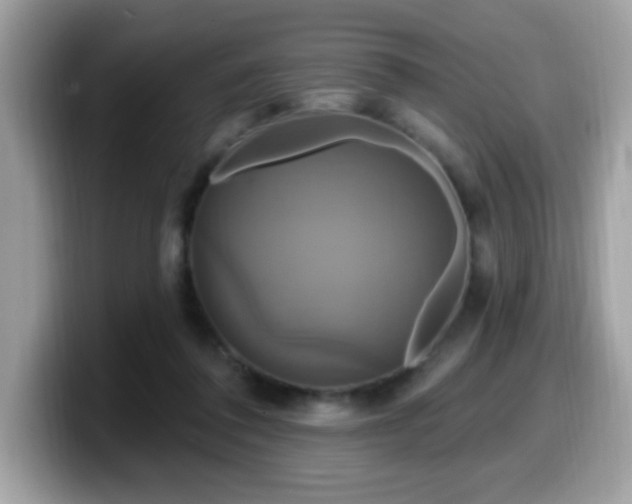 X0000099950308200805301241