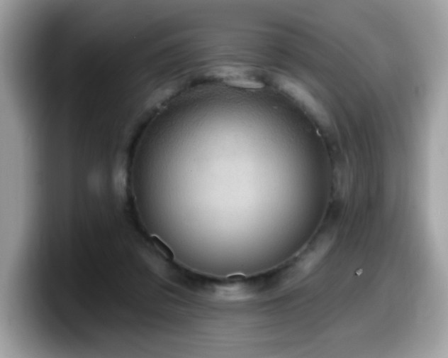 X0000099950309200805301241