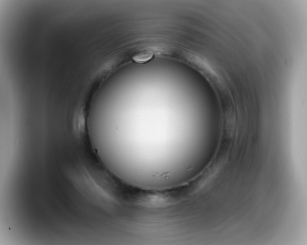 X0000099950310200805301241