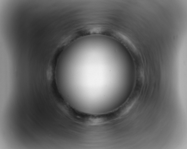 X0000099950311200805301241
