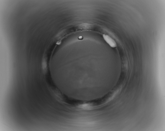 X0000099950312200805301241