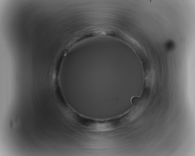 X0000099950314200805301241