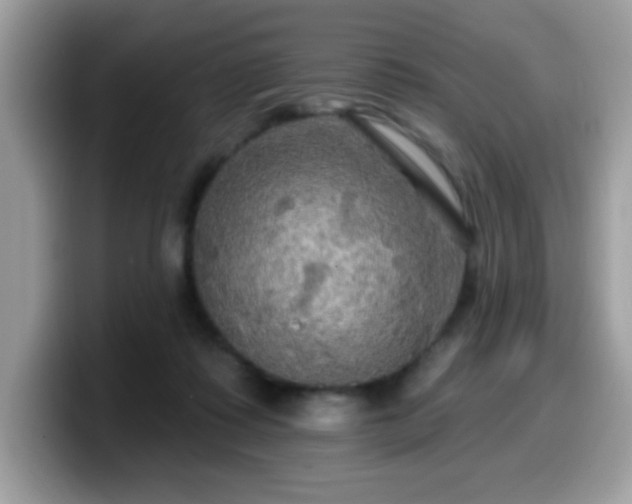 X0000099950315200805301241