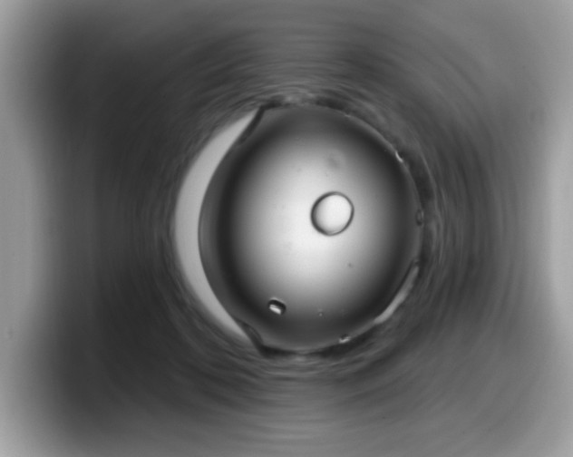 X0000099950316200805301241