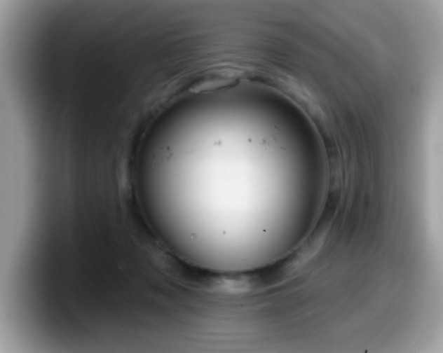 X0000099950317200805301241