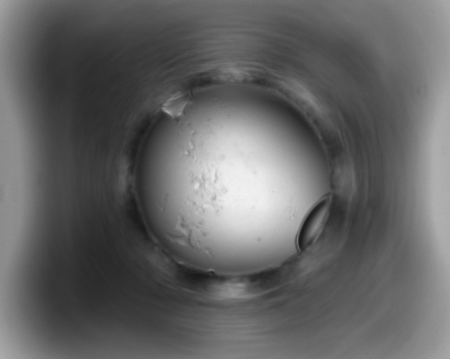 X0000099950318200805301241
