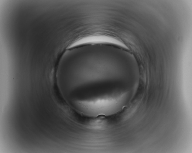 X0000099950319200805301241