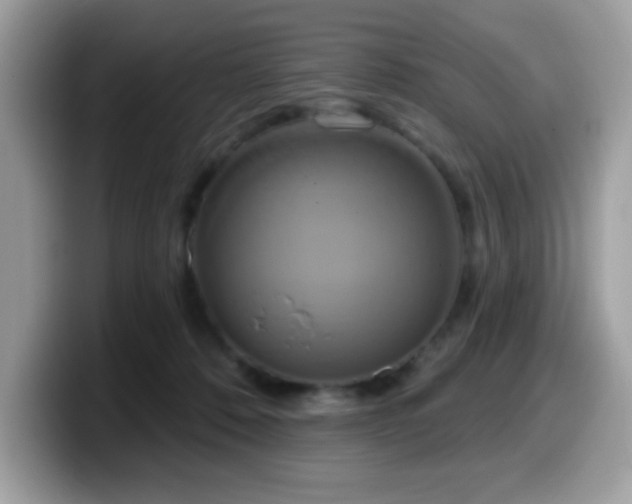 X0000099950320200805301241