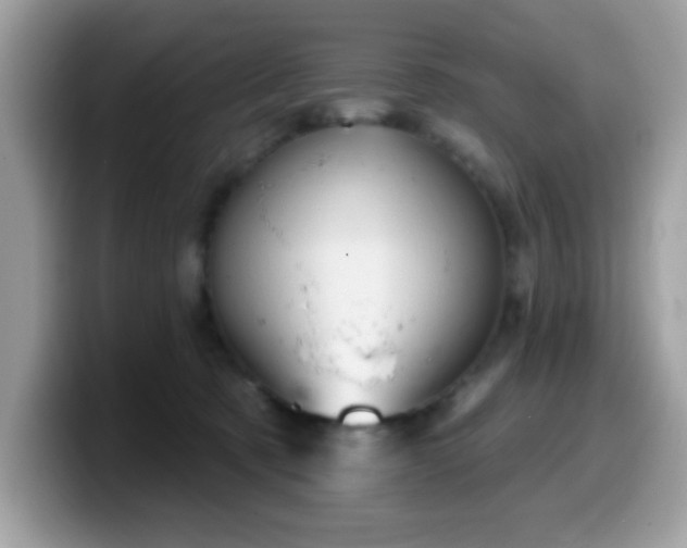 X0000099950321200805301241