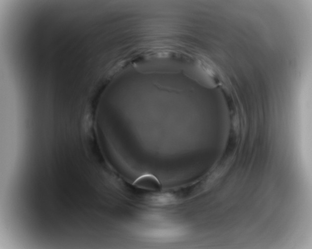 X0000099950322200805301241