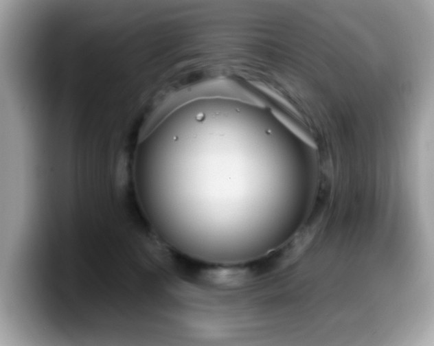 X0000099950323200805301241