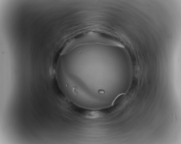 X0000099950324200805301241