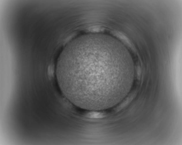 X0000099950326200805301241