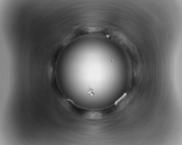 X0000099950327200805301241