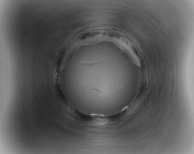 X0000099950328200805301241