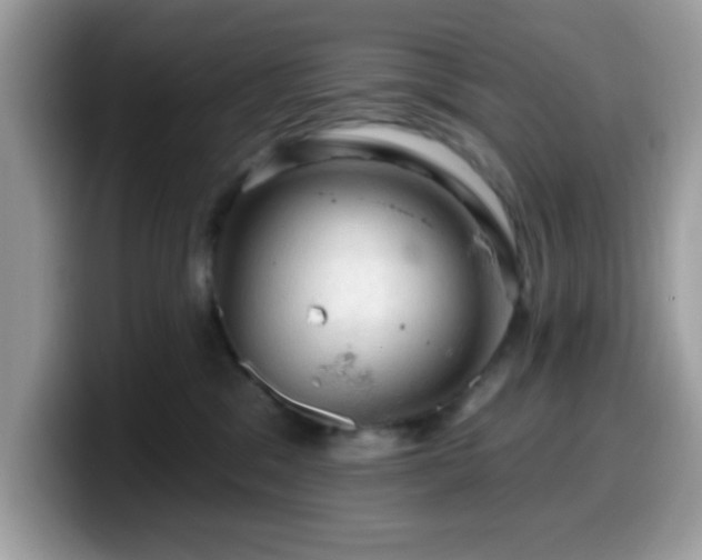 X0000099950329200805301241