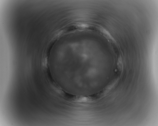 X0000099950330200805301241