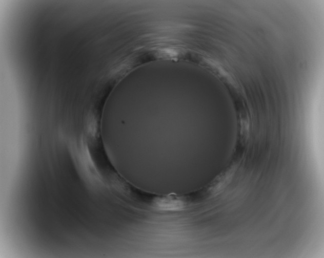 X0000099950331200805301241