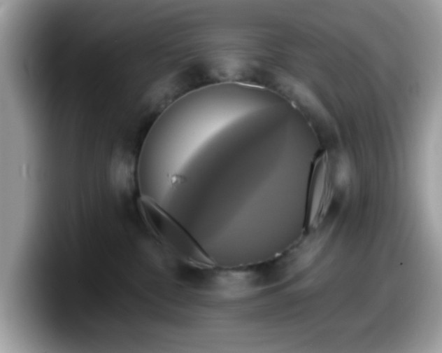 X0000099950332200805301241