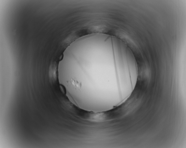 X0000099950334200805301241