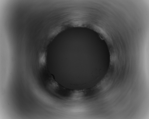 X0000099950335200805301241