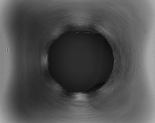 X0000099950336200805301241