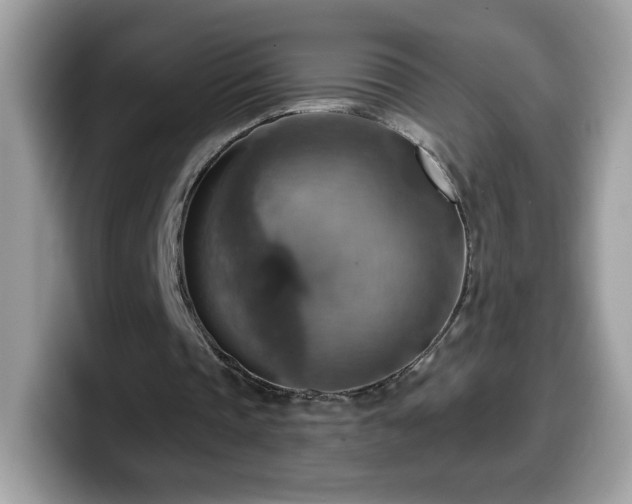 X0000099950337200805301240