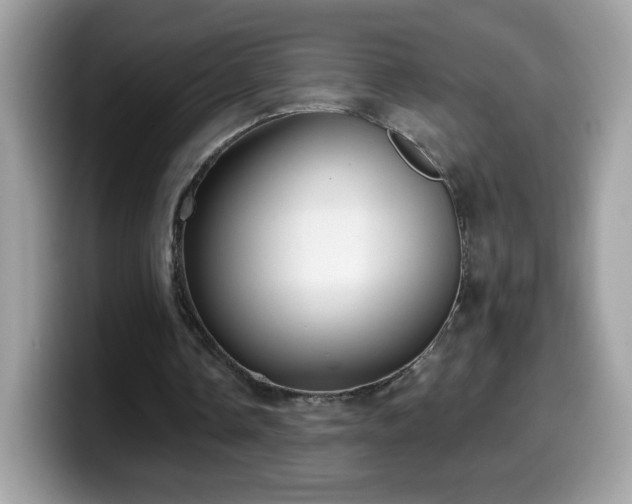 X0000099950338200805301240