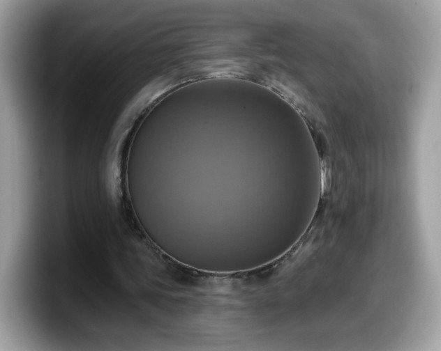 X0000099950339200805301240