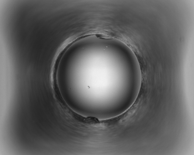 X0000099950340200805301240