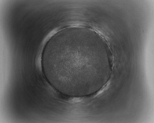 X0000099950341200805301240