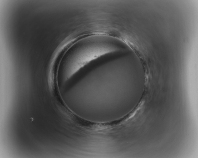 X0000099950343200805301240