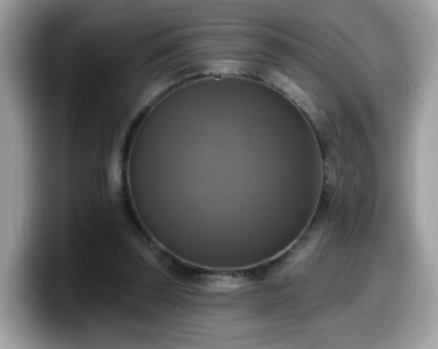 X0000099950347200805301240