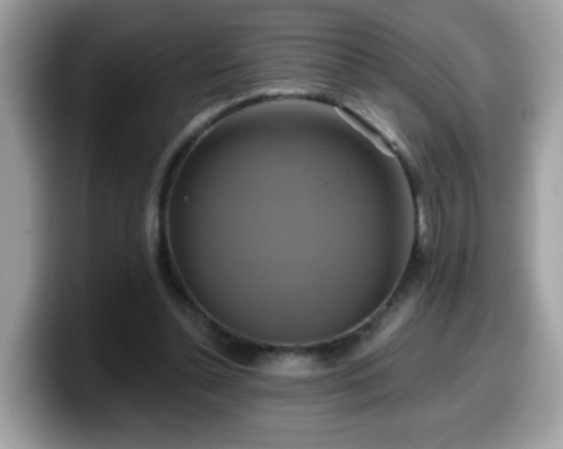 X0000099950348200805301240