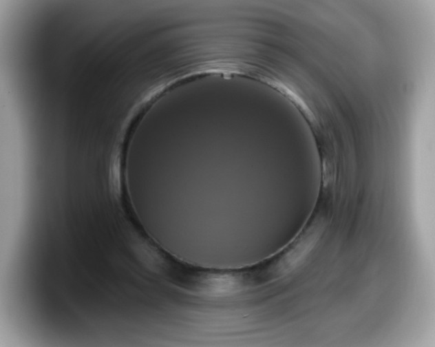 X0000099950349200805301240