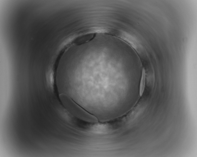 X0000099950350200805301240