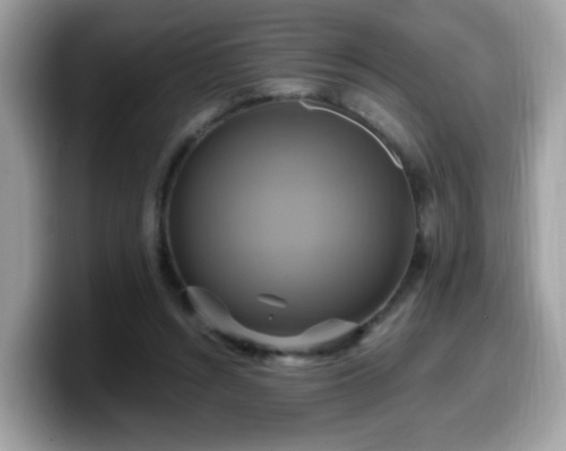 X0000099950352200805301240